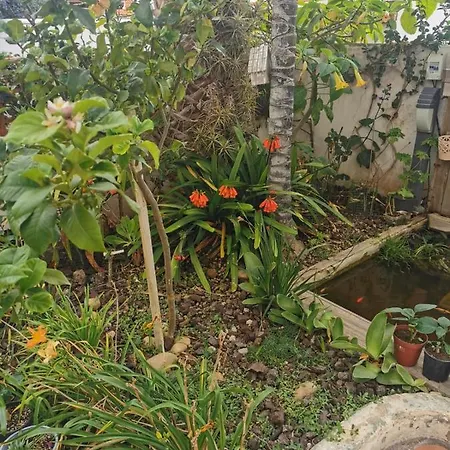 Apartment El Jardin